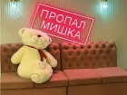 Гигантского мишку увели посетители из волгоградского караоке: талисман в полтора метра высоты