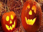 В преддверии Хэллоуина зоозащитники спасают животных от сатанистов 