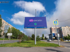 Wildberries сделали заявление по поводу волгоградских сотрудников