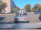 Волгоградец «звездочкой» прокатился на крыше шестерки — видео