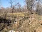 Надгробие из мусора на братской могиле обнаружил общественник в Волгограде