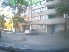 В Волгограде жители многоэтажки выкинули с балкона кошку