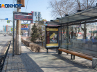 Жалобы на гонку автобусов №21 в Волгограде обернулись служебной проверкой