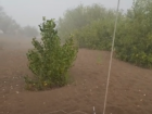 Сильнейший шторм на острове Денежный под Волгоградом попал на видео