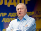 В Волгоградскую городскую думу собрался Владимир Жириновский