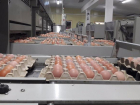 Волгоградскую область через три года завалят яйцами