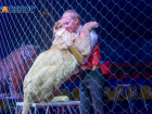 Подробности выживания цирка, застрявшего  в  Волгограде на 8 месяцев