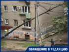 "Пошла за водой - убило током": в Волгограде рухнуло дерево на провода