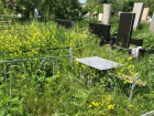 Центральное кладбище заросло травой за время запрета на посещение: волгоградцы