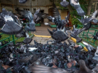 Купание голубей в коммунальном "джакузи" попало на видео в Волгограде