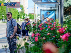 Каждый третий волгоградец не носит маску в транспорте и общественных помещениях