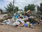 Крысы, вонь и грязь: что получают заплатившие за вывоз мусора в Волгограде