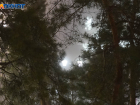 Экипажи четырех пассажирских рейсов увидели НЛО в небе над Волгоградом