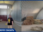 «Мы просто погибнем»: об острой нехватке сена заявил конный клуб под Волгоградом