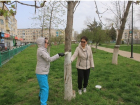 Сотрудникам волгоградского Роспотребнадзора пришлось убирать мусор и белить деревья
