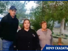 Спилить 60-летние деревья требуют жители Волгограда 