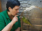 В волгоградском зоопарке тугоухий попугай танцует под военные песни