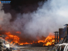 Волгоградца оштрафовали за сорняки