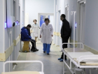 Четыре человека заболели лихорадкой Западного Нила в Волгоградской области