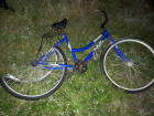 В Волгоградской области подростка на велосипеде насмерть задавил рецидивист