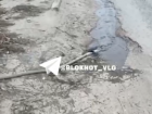 Многодетная жена участника СВО два месяца выкачивает воду из-за неустраняемого прорыва в Волгограде