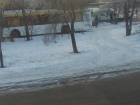 Новый автобус №35 протаранил дерево возле Больничного комплекса в Волгограде