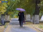 19 ноября в Волгоградской области синоптики обещают дождь и туман