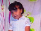 10-летняя школьница бесследно пропала в Волгоградской области: идут поиски