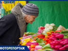 Таких цен еще не было: тюльпаны рекордно подорожали перед 8 Марта в Волгограде