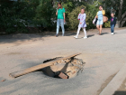 «Портал в другое измерение»: в центре Волгограда провалился тротуар