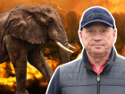 «Краснокнижные и редкие животные погибнут»: мэр Лихачёв уничтожает единственный зоопарк Волгограда