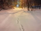 Волгоград встретил утро заваленными снегом дорогами и тротуарами