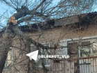 Рухнувшее дерево в Волгограде полмесяца лежит на крыше и балконе жилого дома