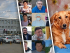 Массовый сбор плазмы, разоблачение автосалонов-мошенников, миллионы на лечение: 10 добрых дел «Блокнота Волгограда» в 2020