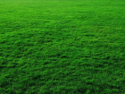 Искусственный газон на футбольном поле у ВГАФК отремонтируют за 4 млн рублей
