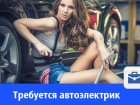 Разыскивается автоэлектрик
