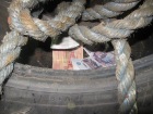 Хотели продать 12 тонн горючего: задержание в Волгограде работников теплохода попало на видео
