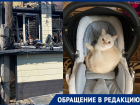 Дом сгорел вместе с котом: муж с женой остались на улице после пожара в Волгограде