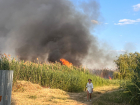 Бушующий в СНТ «Чайка» в Волгограде пожар попал на видео