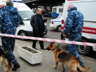 Под Волгоградом 16-летний подросток "заминировал" магазин, где ему отказались продавать сигареты 