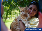 Вот кто хозяин в доме и вьет из всех веревки: домашнюю милоту показали волгоградцы