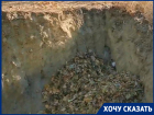 Ноу-хау в утилизации листьев не оценили жители Краснооктябрьского района Волгограда