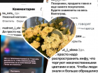 Цветочный салон в центре Волгограда объявил себя жертвой блогерской травли