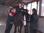 Волгоградцы собирают юной художнице с ДЦП средства на лечение лошадьми