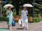 Период новой аномально жаркой погоды в Волгограде прогнозирует климатолог 