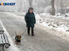 В день "Черной пятницы" Волгоград накроют геомагнитные бури и мокрый снег 