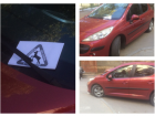 Волгоградцы пометили выдающегося "оленя" на красном автомобиле