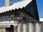 "Она сожрет все!": нашествие саранчи сняли на видео под Волгоградом