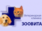 Груминг, стоматология, УЗИ, дерматология. Корма, вет. препараты. Заходи в справочник