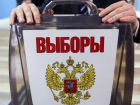 В Волгоградской области насчитали больше 2000 желающих стать депутатами
